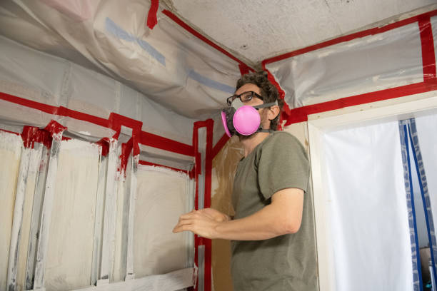 Best Comprehensive Air Testing for Mold Contaminants  in Old Saybrook Center, CT
