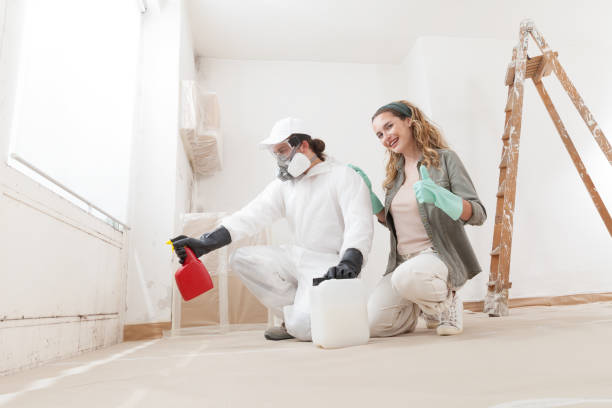 Best Dehumidification Services  in Old Saybrook Center, CT